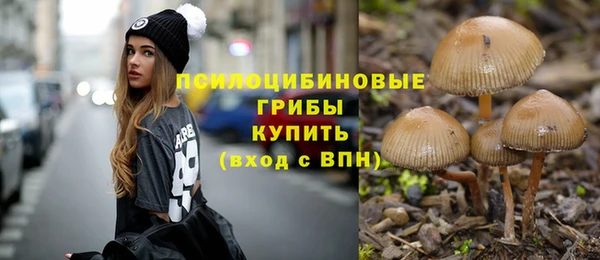 mix Медвежьегорск