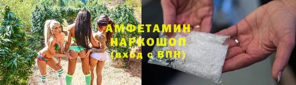гашик Медногорск