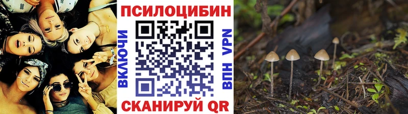 где купить   Нижневартовск  KRAKEN сайт  Галлюциногенные грибы ЛСД 