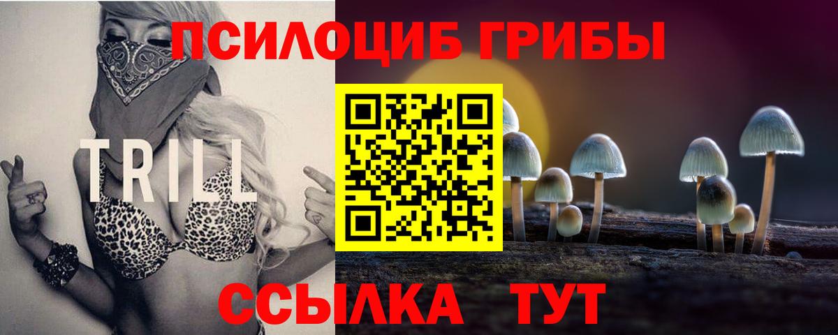 Галлюциногенные грибы Magic Shrooms Нижневартовск
