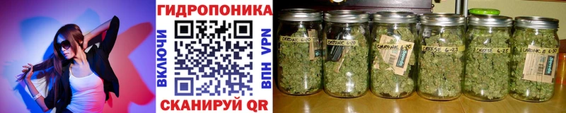 МАРИХУАНА гибрид Нижневартовск